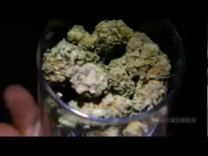 Video: Ice Berg - Purple Haze